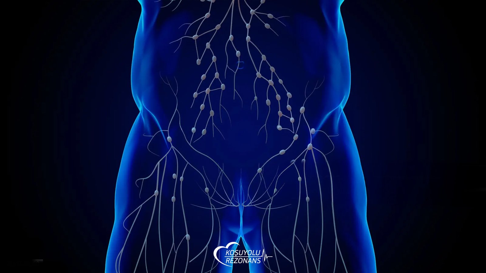 Lenfatik Sistem Nasıl Temizlenir