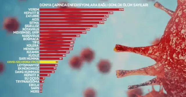 Corona ve Enfeksiyon Hastalıklarından Korunma Yolları