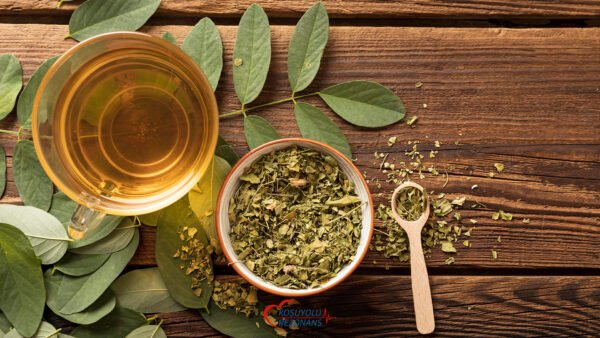 Detoks Nedir? Ne Değildir?